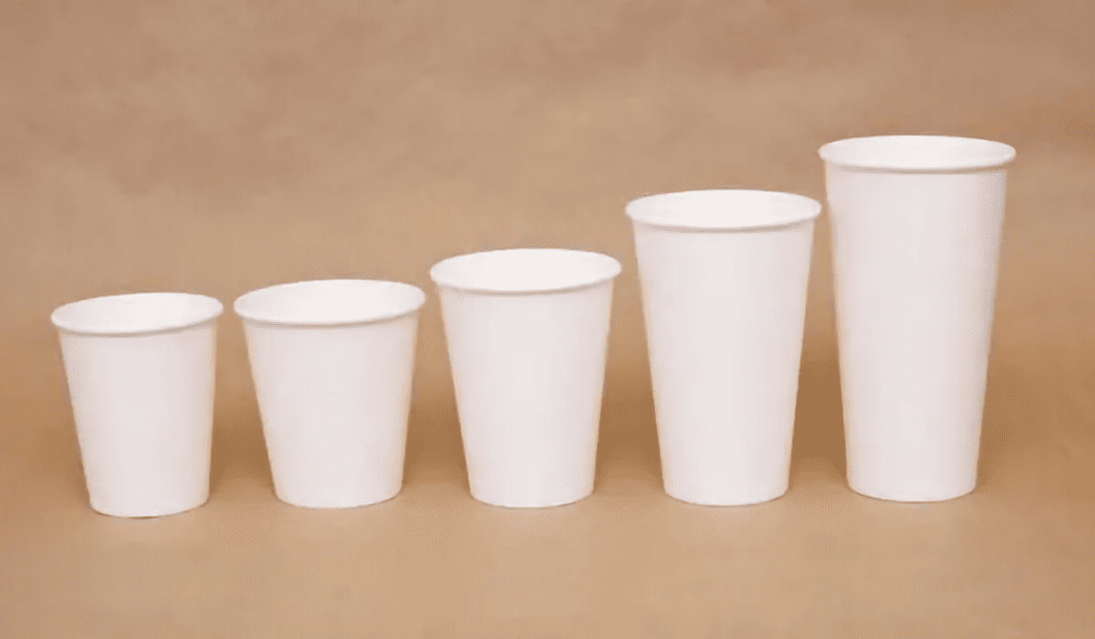 The Various Types of Paper Cups Beginners Guide